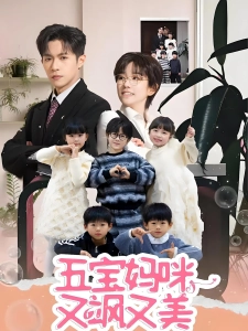 短剧五宝妈咪又飒又美海报