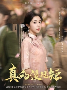 短剧真的没规矩海报