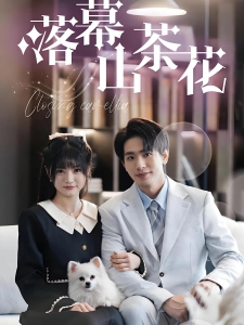 短剧落幕山茶花海报