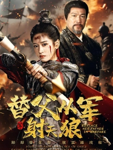 短剧替父从军射天狼海报