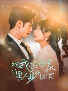 短剧被我捡回家的男人身价不菲海报