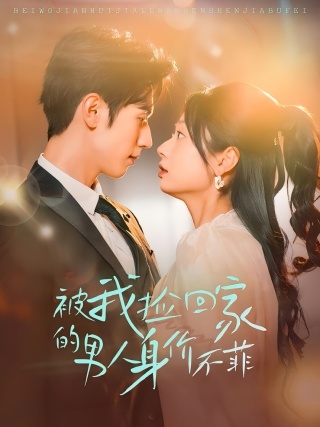 短剧被我捡回家的男人身价不菲海报