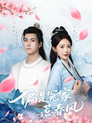 短剧偏是冤家惹春风海报