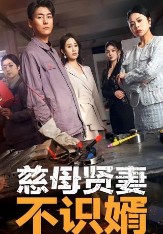 短剧慈母贤妻不识婿海报