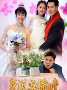 短剧莫道桑榆晚海报