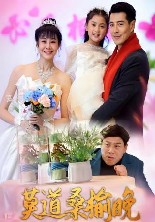 短剧莫道桑榆晚海报