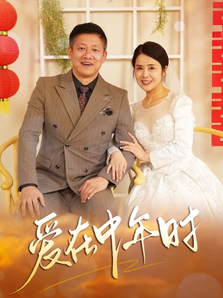 短剧爱在中年时海报