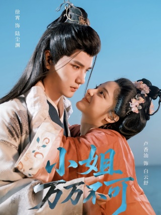 短剧小姐万万不可海报