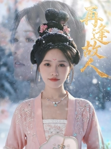 短剧再逢故人海报