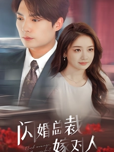 短剧闪婚总裁嫁对人海报