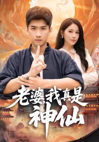 短剧老婆，我真是神仙海报