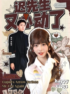 短剧迟先生又心动了海报