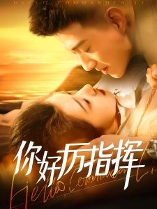 短剧你好厉指挥海报