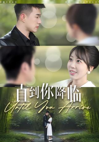 短剧直到你降临海报