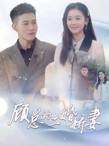 短剧顾总的二婚娇妻海报