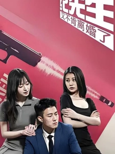 短剧纪先生又不肯离婚了海报