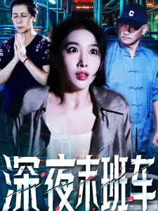 短剧深夜末班车海报