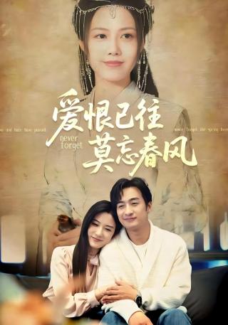 短剧爱恨已往莫忘春风海报