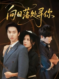 短剧向日落处寻你海报