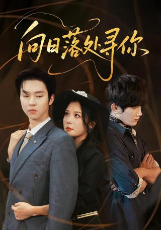 短剧向日落处寻你海报