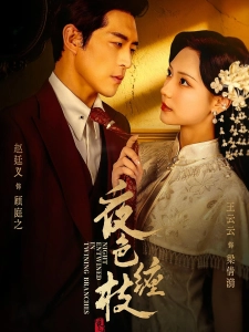 短剧夜色缠枝海报
