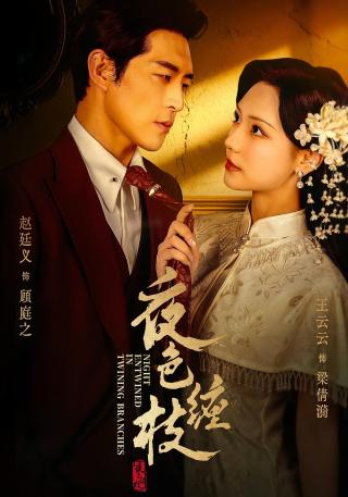 短剧夜色缠枝海报