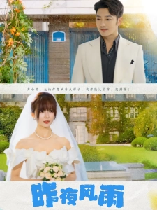 短剧昨夜风雨海报