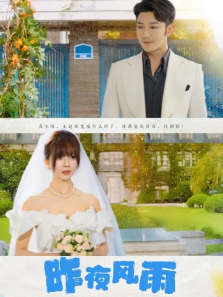 短剧昨夜风雨海报