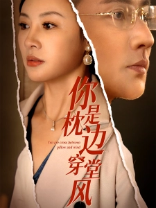 短剧你是枕边穿堂风海报