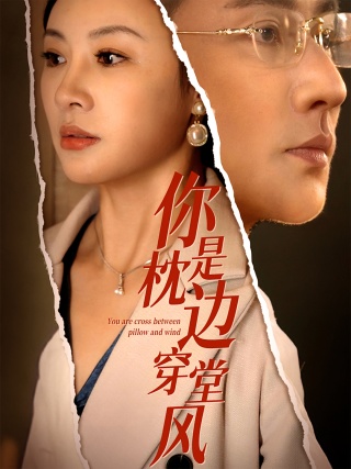 短剧你是枕边穿堂风海报