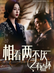 短剧相看两不厌之有点坏海报