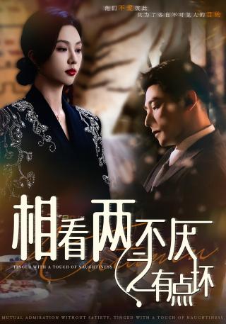 短剧相看两不厌之有点坏海报