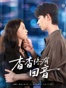 短剧杳杳终有回音海报