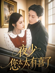 短剧夜少，您太太有喜了海报