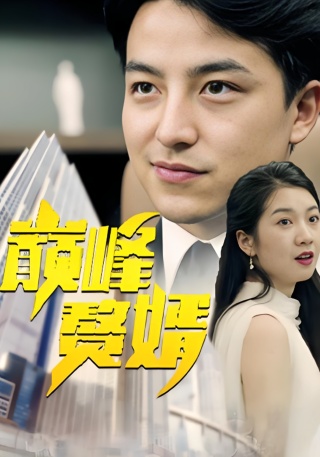 短剧巅峰赘婿海报