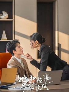 短剧她和往事尽付长风海报