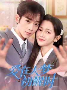 短剧爱在大梦初醒时海报