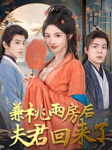短剧兼祧两房后夫君回来了海报