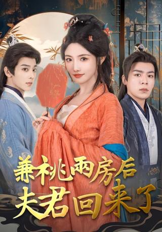 短剧兼祧两房后夫君回来了海报