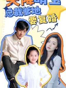 短剧天降萌宝：总裁爹地要复婚！海报