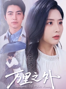 短剧万里之外海报