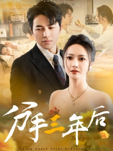 短剧分手三年后海报