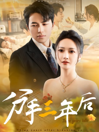 短剧分手三年后海报