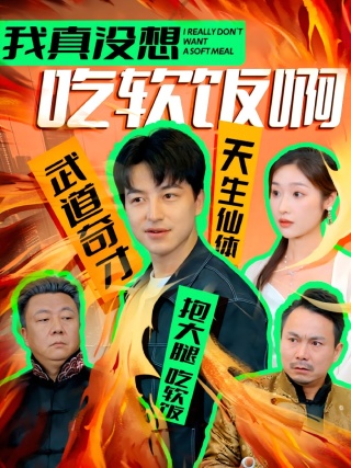短剧我真没想吃软饭啊海报