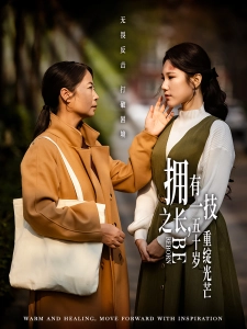 短剧拥有一技之长，五十岁重绽光芒海报