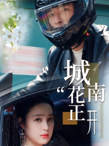 短剧城南花正开海报