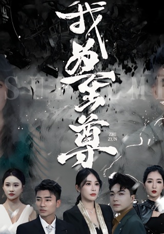 短剧我为至尊海报