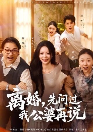 短剧离婚，先问过我公婆再说海报