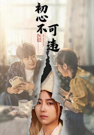 短剧初心不可违海报