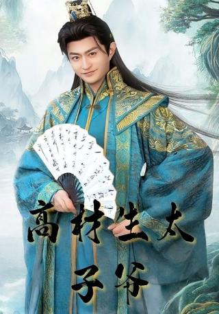 短剧高材生太子爷海报